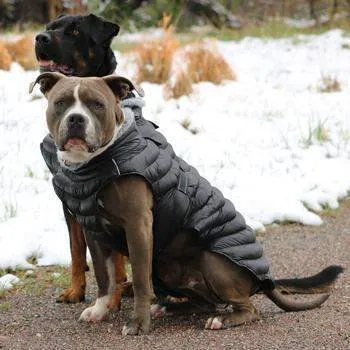 Alpine Extreme Weather Puffer Dog Coat - Black