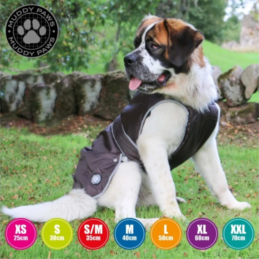 Ancol Stormguard Black Dog Coat