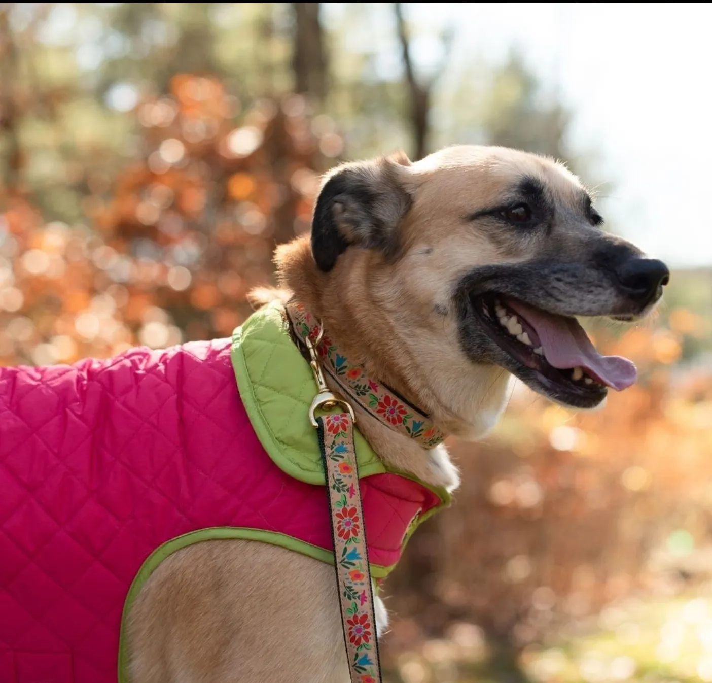 Coat | Diamond Quilted Bright Pink & Lime