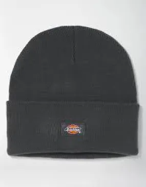 Dickies Beanie Dark Gray