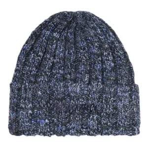 POLAR ALI BEANIE BLUE