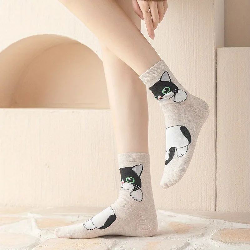 Teenagers Cute Cartoon Cat Pattern Sport Socks  5 Pairs