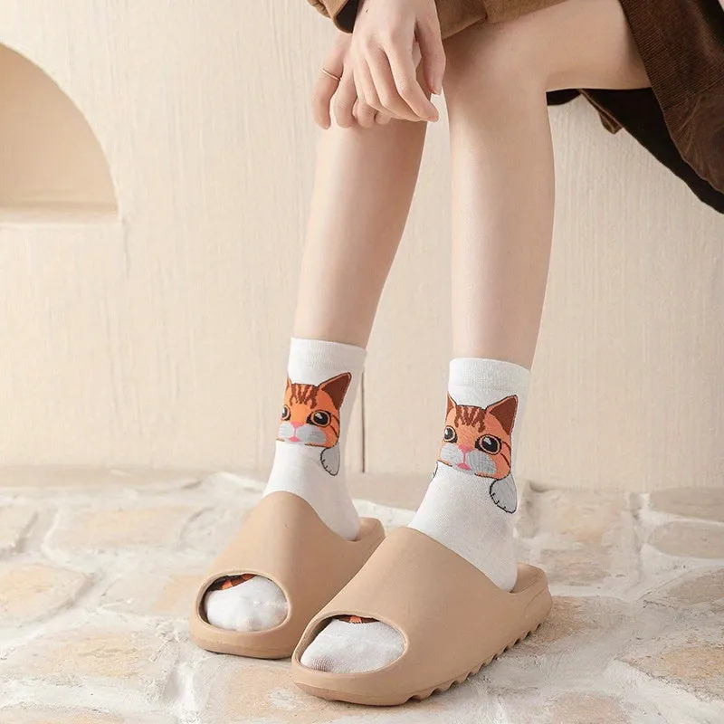 Teenagers Cute Cartoon Cat Pattern Sport Socks  5 Pairs